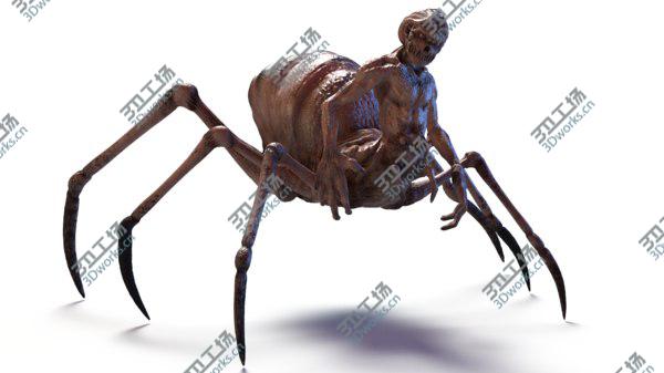 images/goods_img/20210312/3D Spider RIGGED/1.jpg